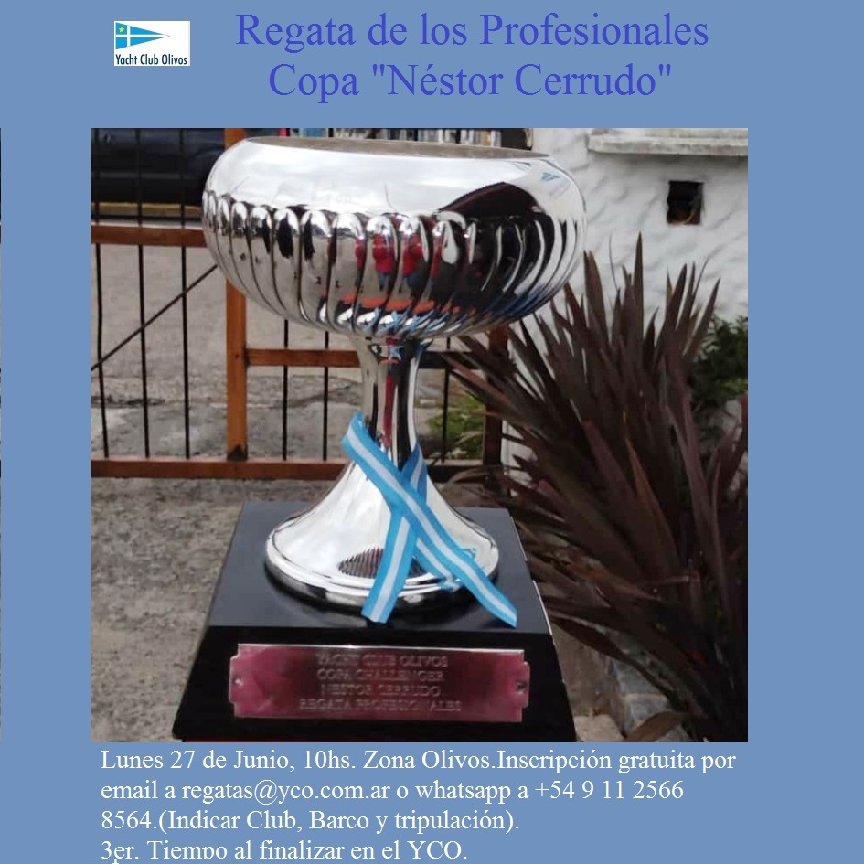 Campeonato De Los Profesionales