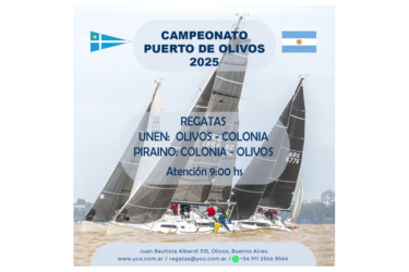 Captura de pantalla 2025-11-12 152203